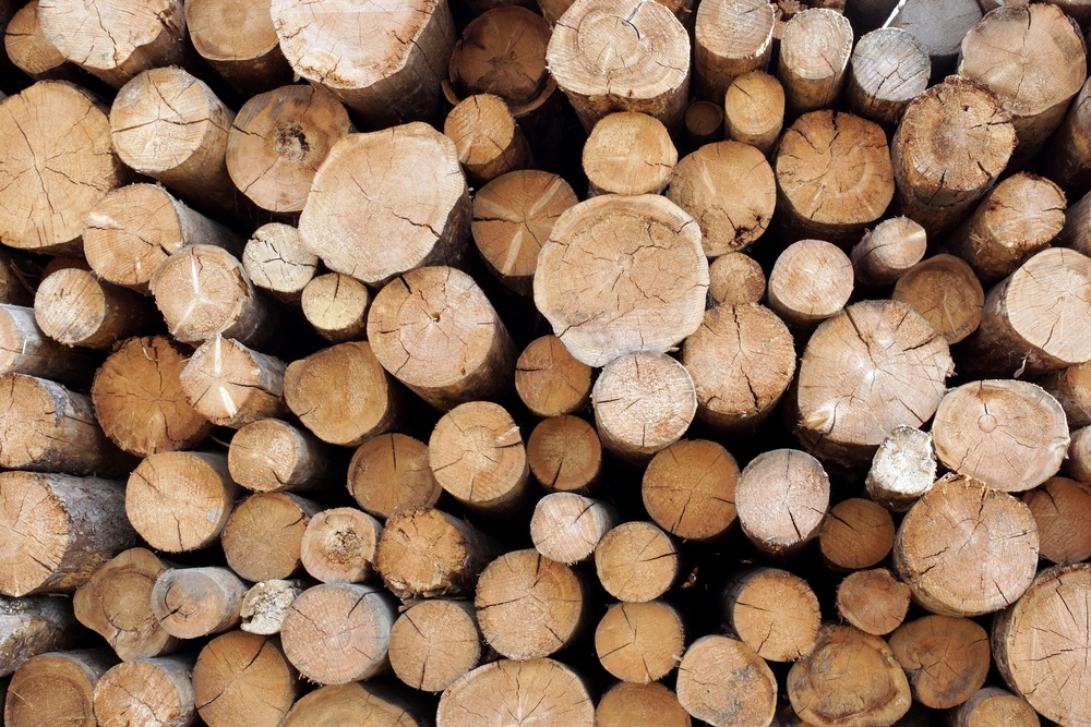 Wood And Lumber